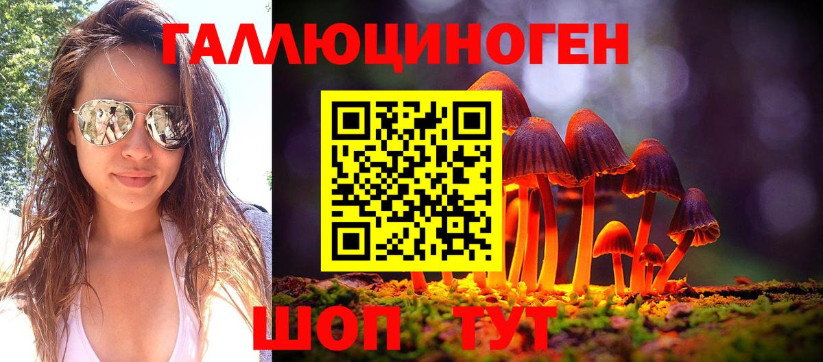 Уварово  Галлюциногенные грибы Cubensis  Вход с VPN 